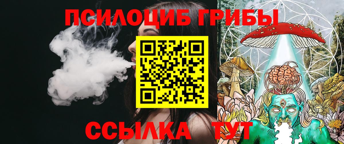 Киров  Псилоцибиновые грибы Cubensis  Вход с VPN 